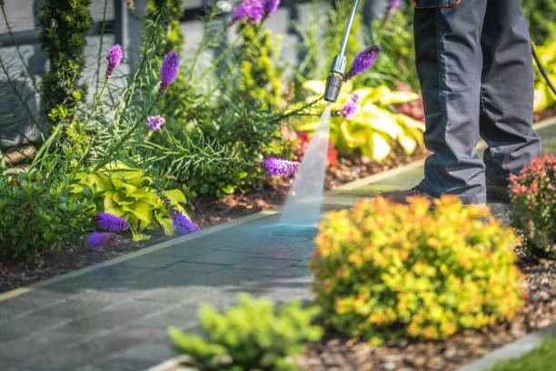 Best Gutter Cleaning  in Washingtonville, NY